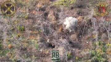 Операторы бригады Неудержимые группировки ЦЕНТР в прямом смысле разбирают опорники противника на Покровском направлении