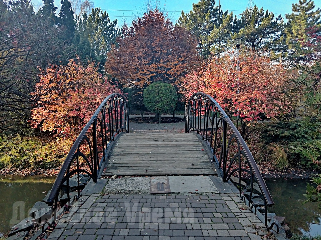 Воды не много, но она есть: после дождей водоемы в сквере у "Конти" в Донецке стали заметно полнее Воды не много, но она есть: после дождей водоемы в сквере у "Конти" в Донецке стали заметно полнее