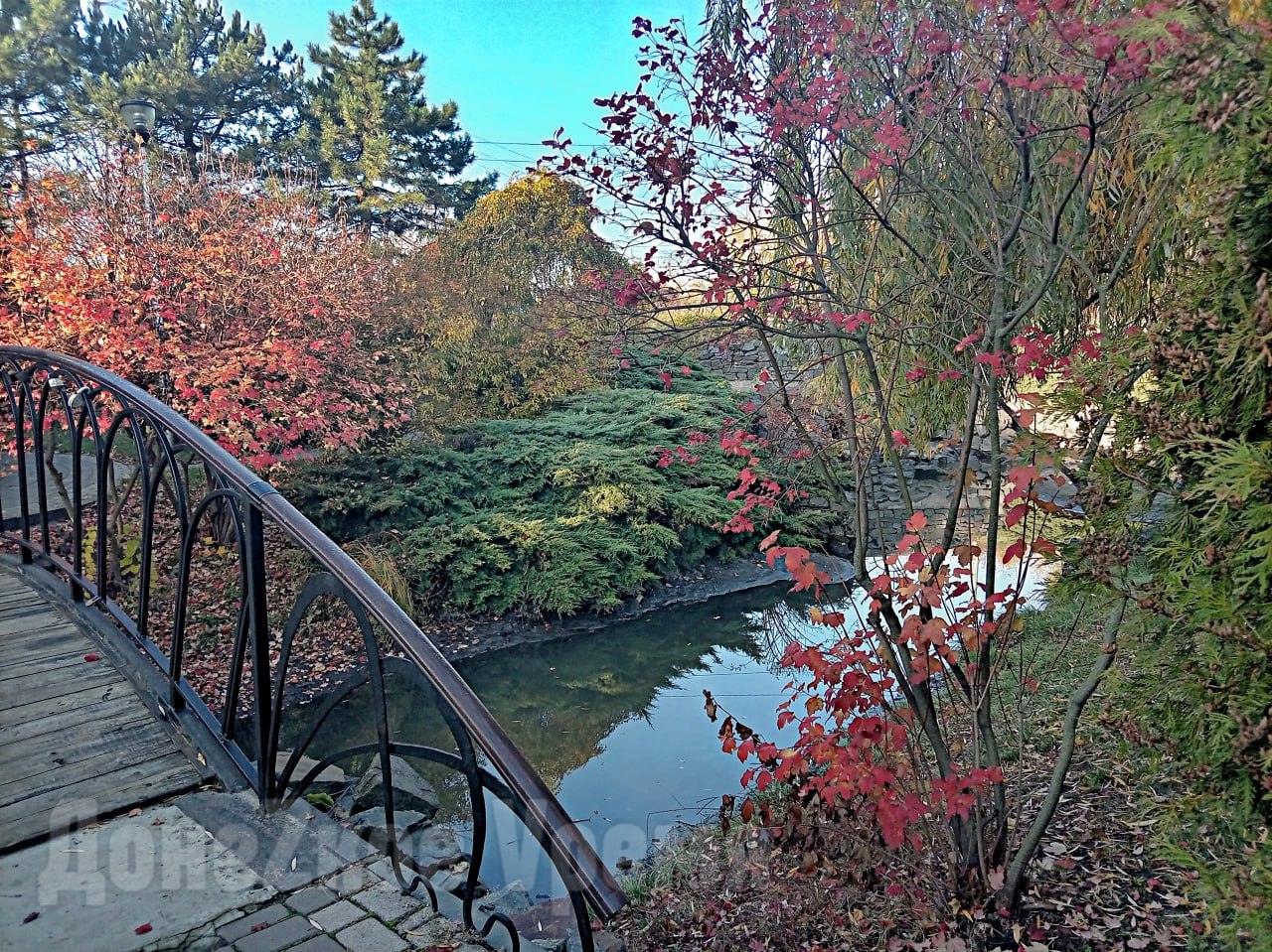 Воды не много, но она есть: после дождей водоемы в сквере у "Конти" в Донецке стали заметно полнее Воды не много, но она есть: после дождей водоемы в сквере у "Конти" в Донецке стали заметно полнее