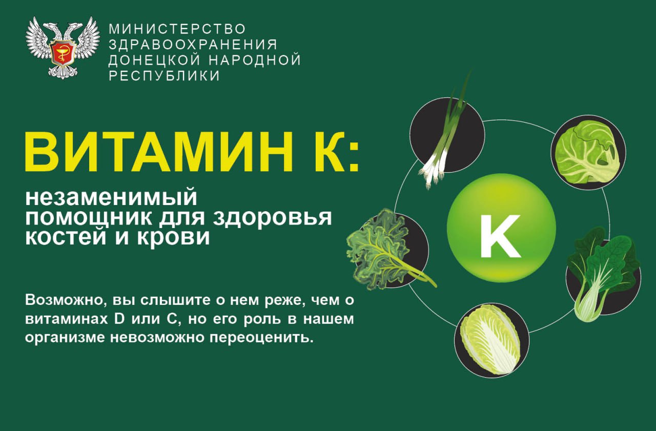 Витамин К: незаменимый помощник для здоровья костей и крови