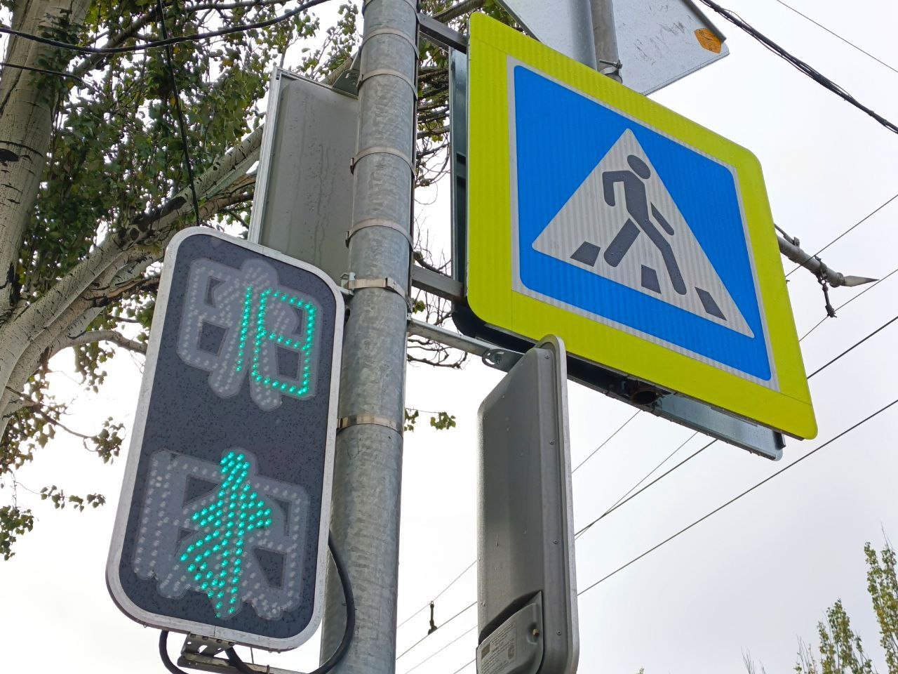 Глава ДНР в ходе оперативного совещания поручил администрации Макеевки совместно с УГАИ МВД по ДНР до 12 ноября провести выездную проверку безопасности дороги возле одного из учебных заведений