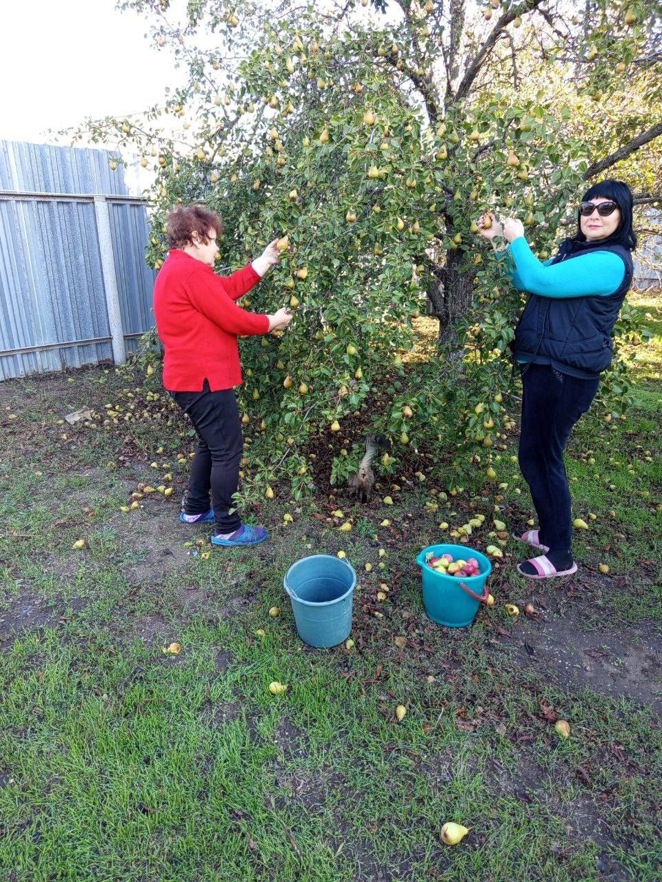 Россия — семья семей. В канун Дня народного единства работники Урзуфского сельского Дома культуры присоединились к всероссийской акции «Россия — семья семей» Россия — семья семей. В канун Дня народного единства работники Урзуфского сельского Дома культуры присоединились к всероссийской акции «Россия — семья семей»
