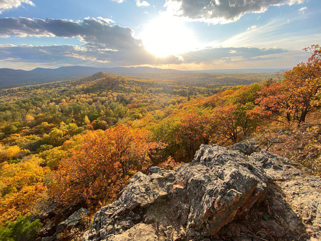 Подведены итоги открытого онлайн-фотоконкурса «Люблю тебя, мой край родной», посвященного Дню Государственного флага ДНР и Году защитника Отечества