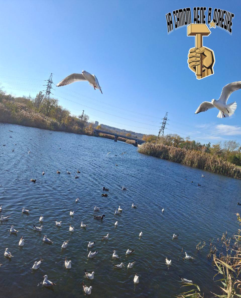 Доброе утро, родному Донбассу!