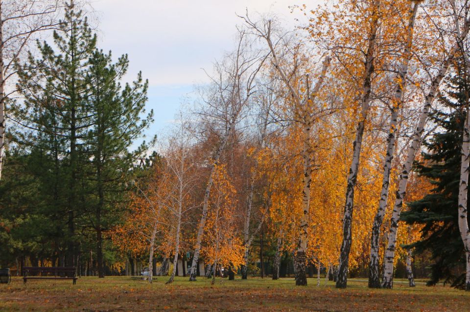 ������ ���� ������������ ������� ������ � �������� ���!