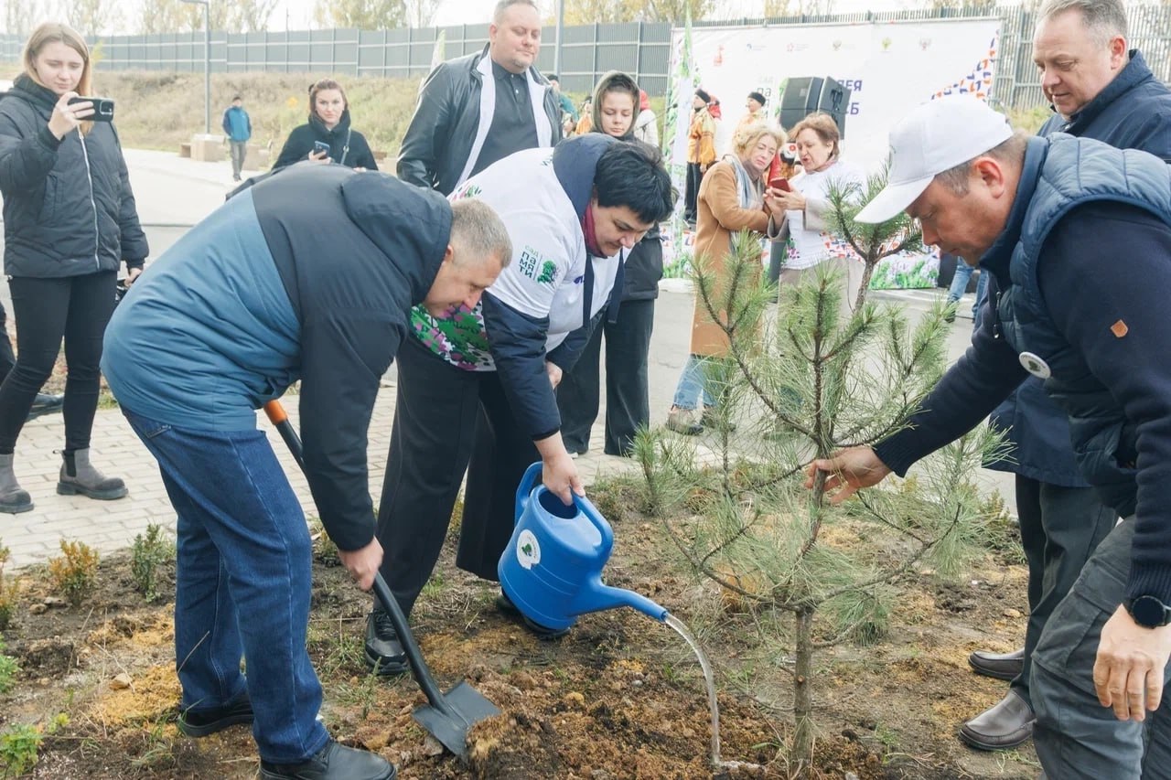Сажали деревья там, где начинается жизнь: возле перинатального центра в Донецке появился “Сад памяти” Сажали деревья там, где начинается жизнь: возле перинатального центра в Донецке появился “Сад памяти”