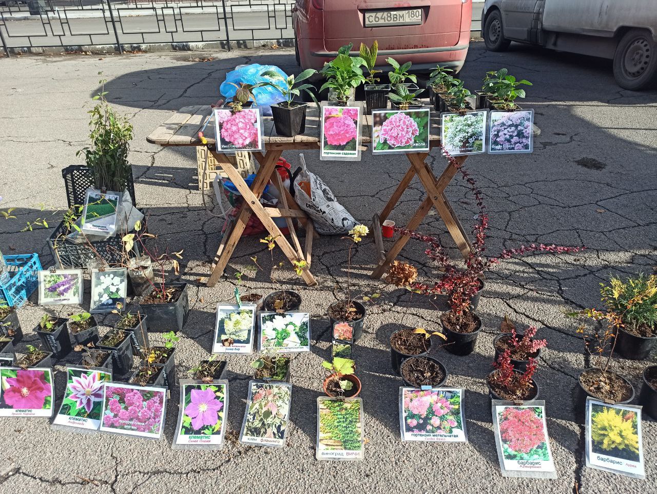 День народного единства – это праздник, который отмечается в России 4 ноября и символизирует сплочение народа во имя общих целей и ценностей День народного единства – это праздник, который отмечается в России 4 ноября и символизирует сплочение народа во имя общих целей и ценностей