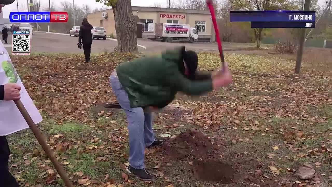 50 рябин в память о погибших с 2014 года бойцах из Моспино