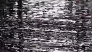 Андрей Руденко: Расчеты БпЛА «Южной» группировки в ДНР уничтожили ББМ «Козак» и ПВД ВСУ на Константиновском направлении