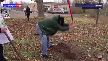 50 рябин в память о погибших с 2014 года бойцах из Моспино