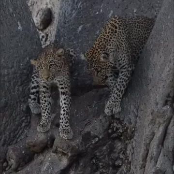 Спокойной ночи, Мариуполь!