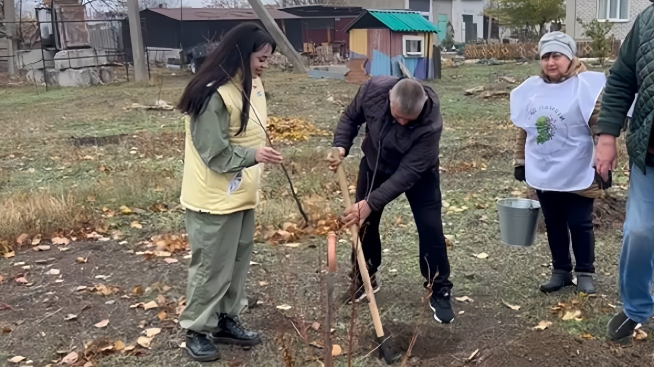 В ноябре 2025 года филиал фонда «Защитники Отечества» в Донецкой Народной Республике вновь принял участие в организации и проведении ежегодной международной акции «Сад Памяти»
