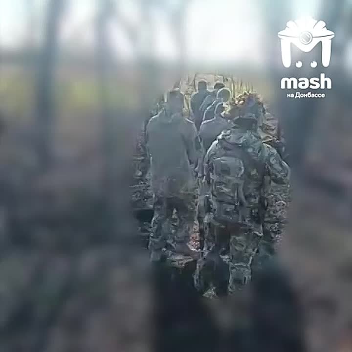 Солдаты ВСУ, оказавшиеся в Красноармейском (Покровском) котле, массово сдаются в плен