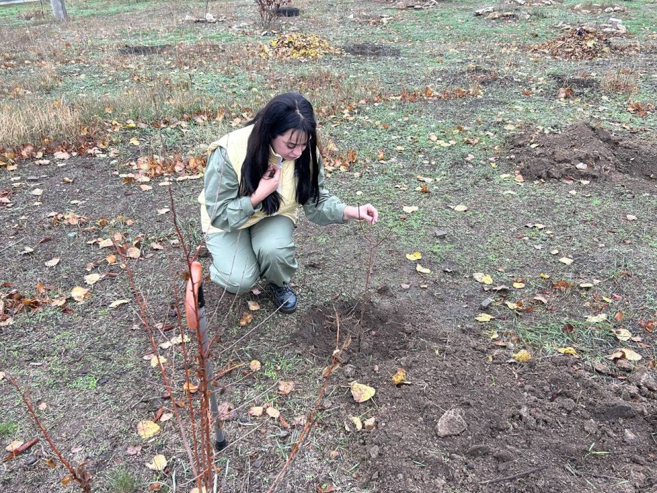 В ноябре 2025 года филиал фонда «Защитники Отечества» в Донецкой Народной Республике вновь принял участие в организации и проведении ежегодной международной акции «Сад Памяти» В ноябре 2025 года филиал фонда «Защитники Отечества» в Донецкой Народной Республике вновь принял участие в организации и проведении ежегодной международной акции «Сад Памяти»