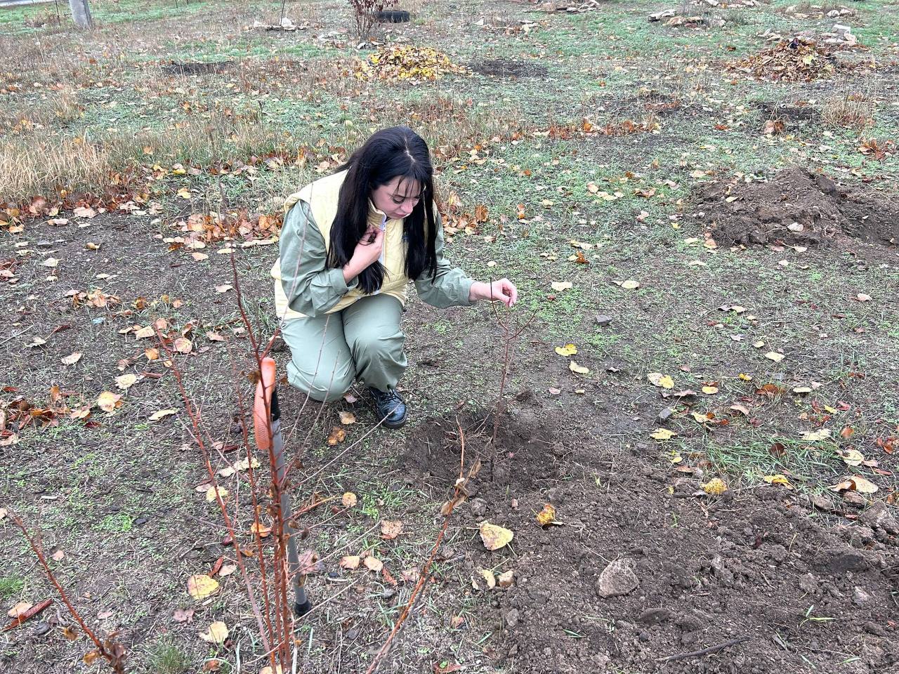 В ноябре 2025 года филиал фонда «Защитники Отечества» в Донецкой Народной Республике вновь принял участие в организации и проведении ежегодной международной акции «Сад Памяти» В ноябре 2025 года филиал фонда «Защитники Отечества» в Донецкой Народной Республике вновь принял участие в организации и проведении ежегодной международной акции «Сад Памяти»