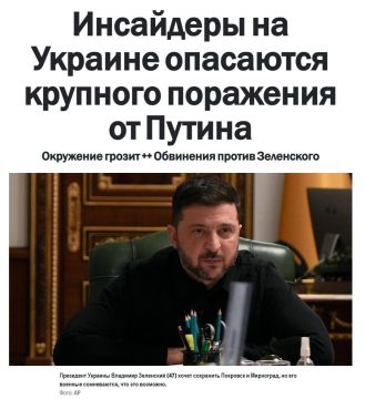 Анатолий Кузичев: Как бы мы жили без инсайдов Юлика Рёпке! Ведь никто и подумать не мог, что Покровск и Мирноград — на грани краха, а украинское общество и элита винят в военных поражениях Зеленского!