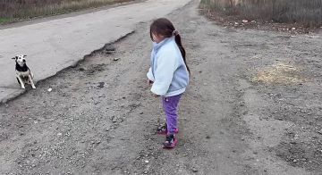 Важное задание «Звёздочки»