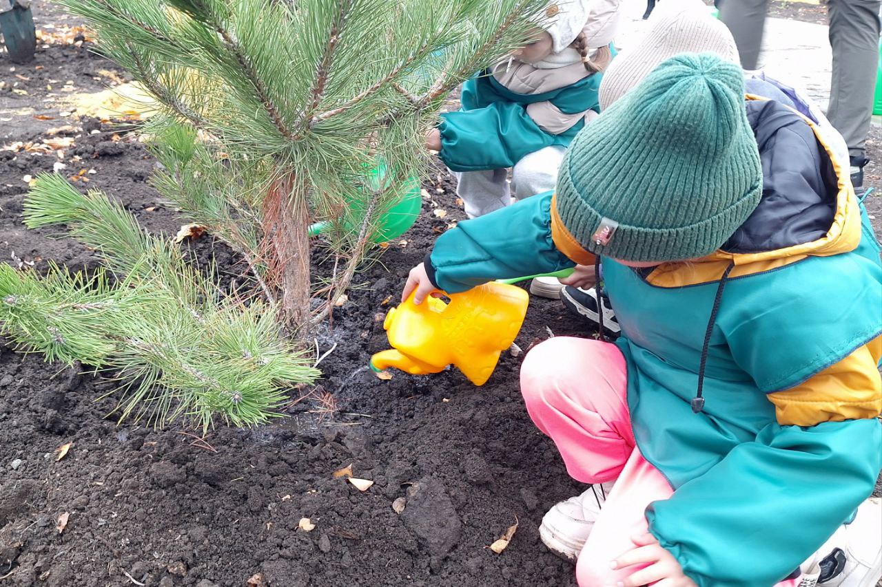 Александр Шатов: В Шахтерске высадили деревья в городском сквере Александр Шатов: В Шахтерске высадили деревья в городском сквере
