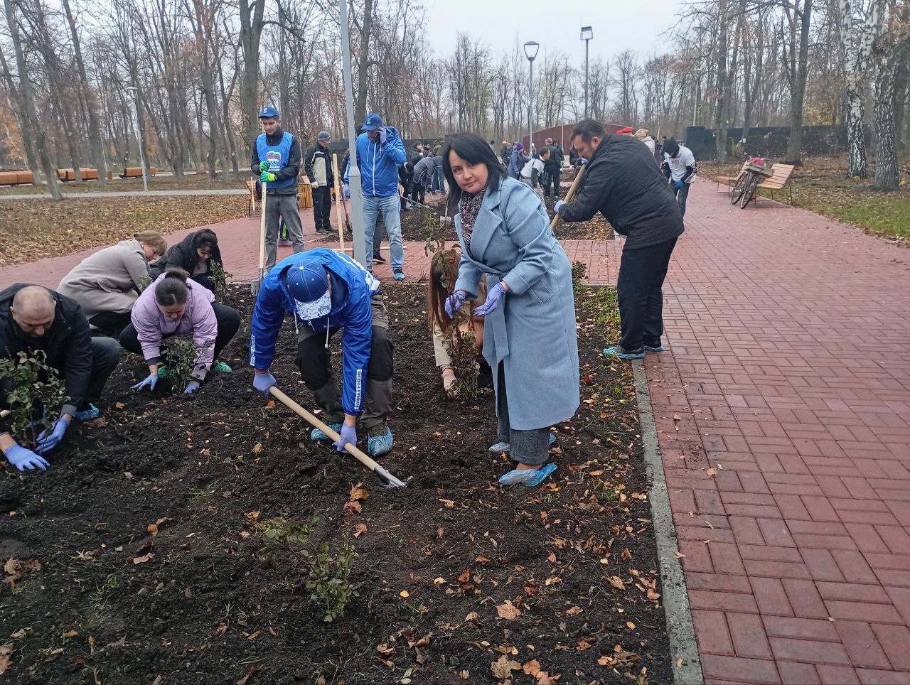 Женская инициатива: розы как символ развития и процветания Волновахи Женская инициатива: розы как символ развития и процветания Волновахи