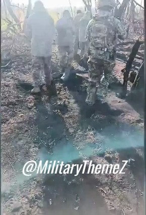 Новая партия пленных ВСУшников с Покровска