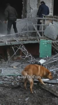 Премьера! Руслан Осташко — «Горловка»