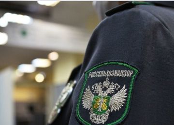 В рамках осуществления федерального государственного контроля (надзора) в области безопасного обращения с пестицидами и агрохимикатами решением Управления Россельхознадзора по Донецкой Народной Республике и Луганской...