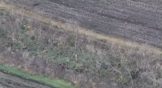 Почти два батальона ВСУ сдались под Покровском за месяц