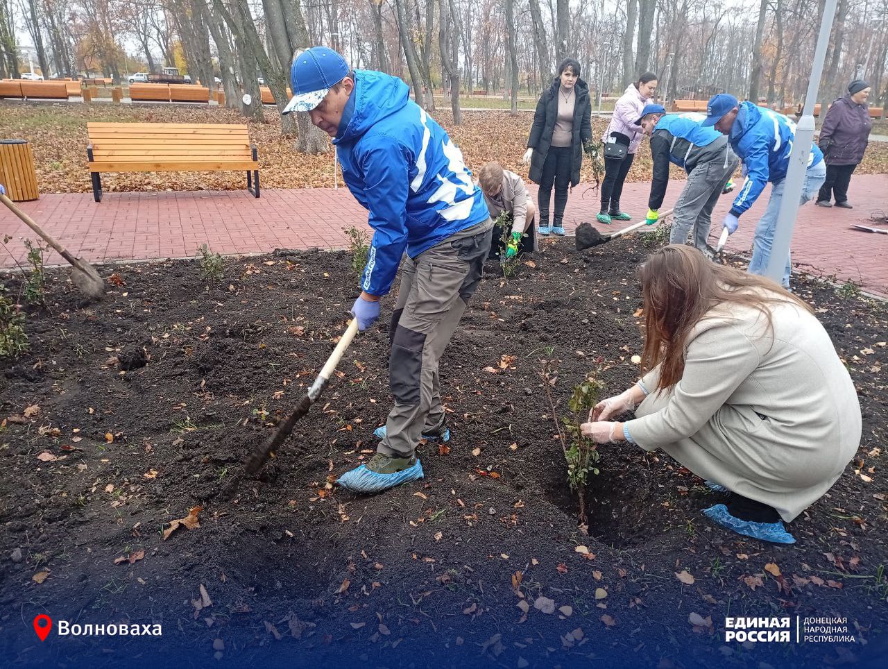 Летнему парку в Волновахе – благоухать розами! Летнему парку в Волновахе – благоухать розами!