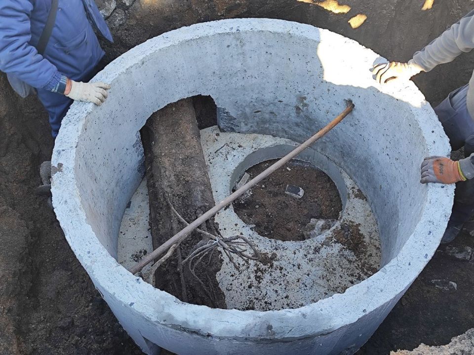 ������������ ����������������� ������ �� �������� ������������ �������������� ���������