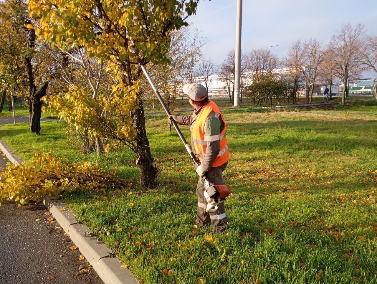 Антон Кольцов: Продолжаем благоустройство общественных пространств Антон Кольцов: Продолжаем благоустройство общественных пространств