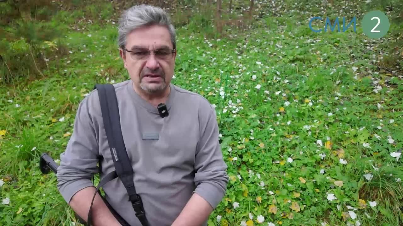 Михаил Онуфриенко: Покровск и МИрноград почти Красноармейск и Димитров