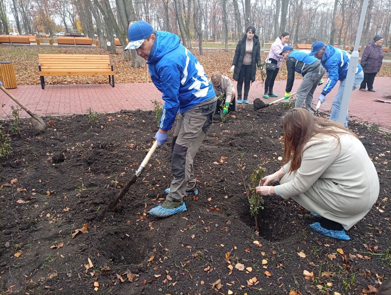 Константин Зинченко: Высадили практически 200 кустов роз в Летнем парке г. Волноваха Константин Зинченко: Высадили практически 200 кустов роз в Летнем парке г. Волноваха