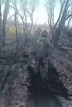 Юрий Баранчик: Берем и активно распространяем - первые пленные ВСУ из Покровска