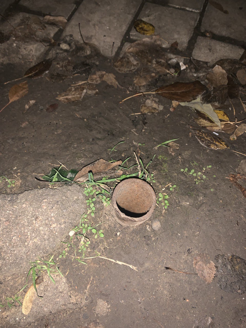 Дмитрий Плетень провел сход граждан Дмитрий Плетень провел сход граждан