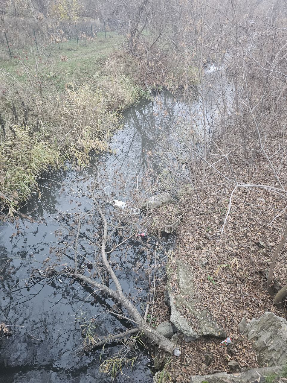 Договоренности на полях ПМЭФ превращаются в успехи «на земле» Договоренности на полях ПМЭФ превращаются в успехи «на земле»