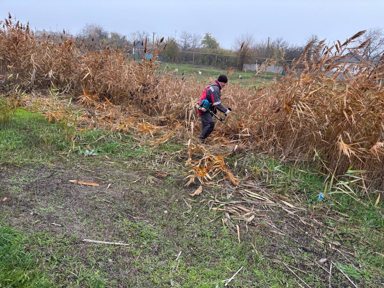 Итоги работы МУП "Восток-Комсервис" за период с 31.10.2025 по 06.11.2025. На территории Володарского муниципального округа были произведены следующие работы: Итоги работы МУП "Восток-Комсервис" за период с 31.10.2025 по 06.11.2025. На территории Володарского муниципального округа были произведены следующие работы: