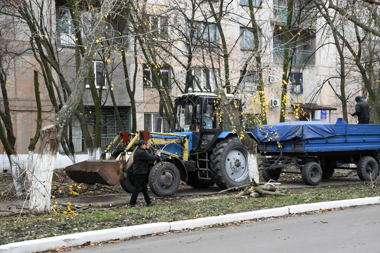 В Кировском выполнили санитарную обрезку деревьев В Кировском выполнили санитарную обрезку деревьев
