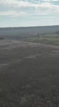 Сергей Карнаухов: Поля под Покровском — всё в оптоволокне! Новая фаза войны