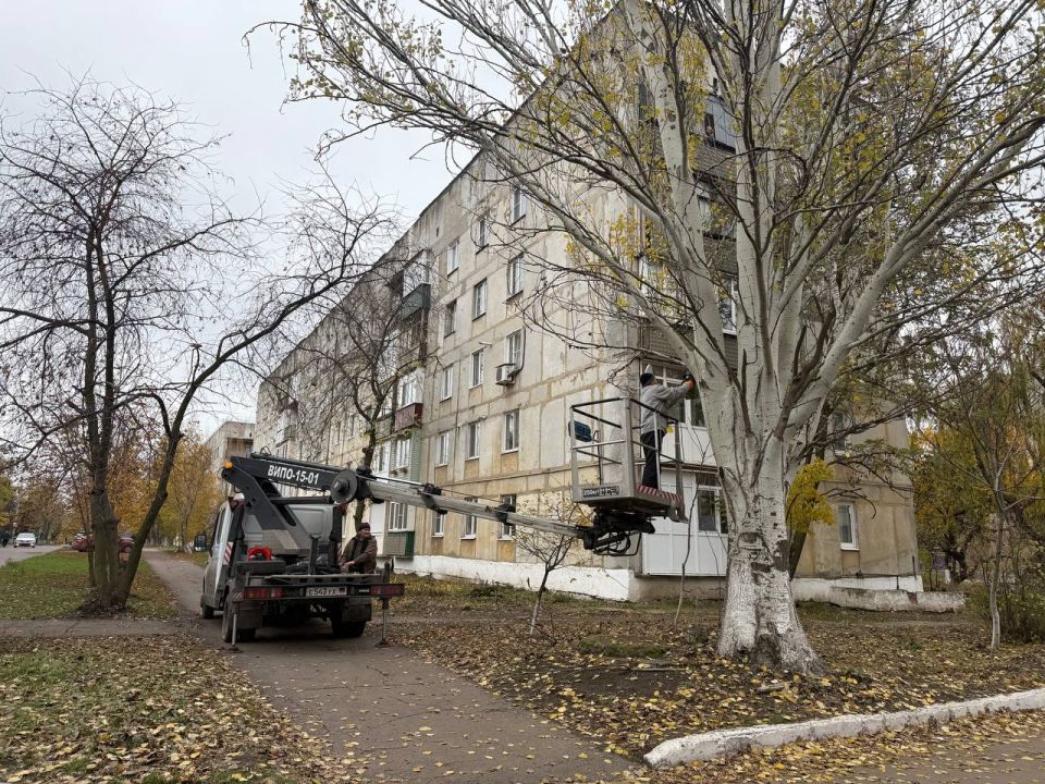В Кировском выполнили санитарную обрезку деревьев В Кировском выполнили санитарную обрезку деревьев