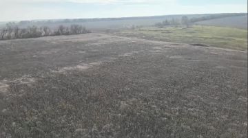 Реально БЛЕСТЯЩАЯ работа наших операторов БПЛА на красноармейском (покровском) направлении