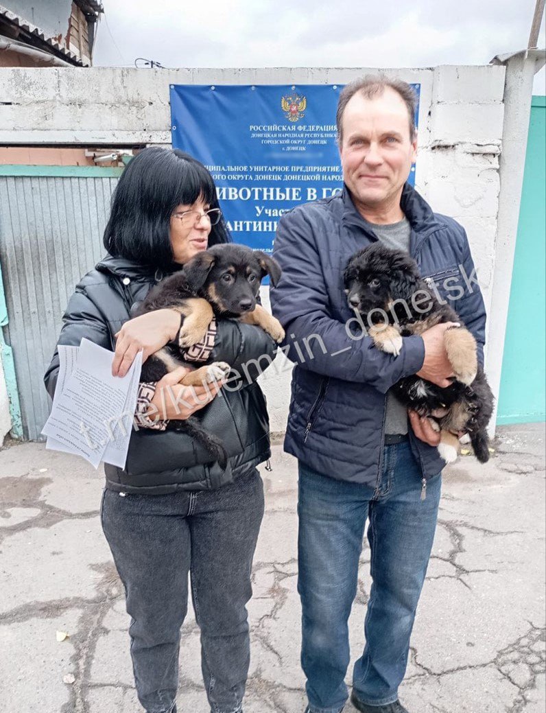 Алексей Кулемзин: Команда предприятия «Животные в городе» продолжает свою миссию, помогая бездомным животным Алексей Кулемзин: Команда предприятия «Животные в городе» продолжает свою миссию, помогая бездомным животным