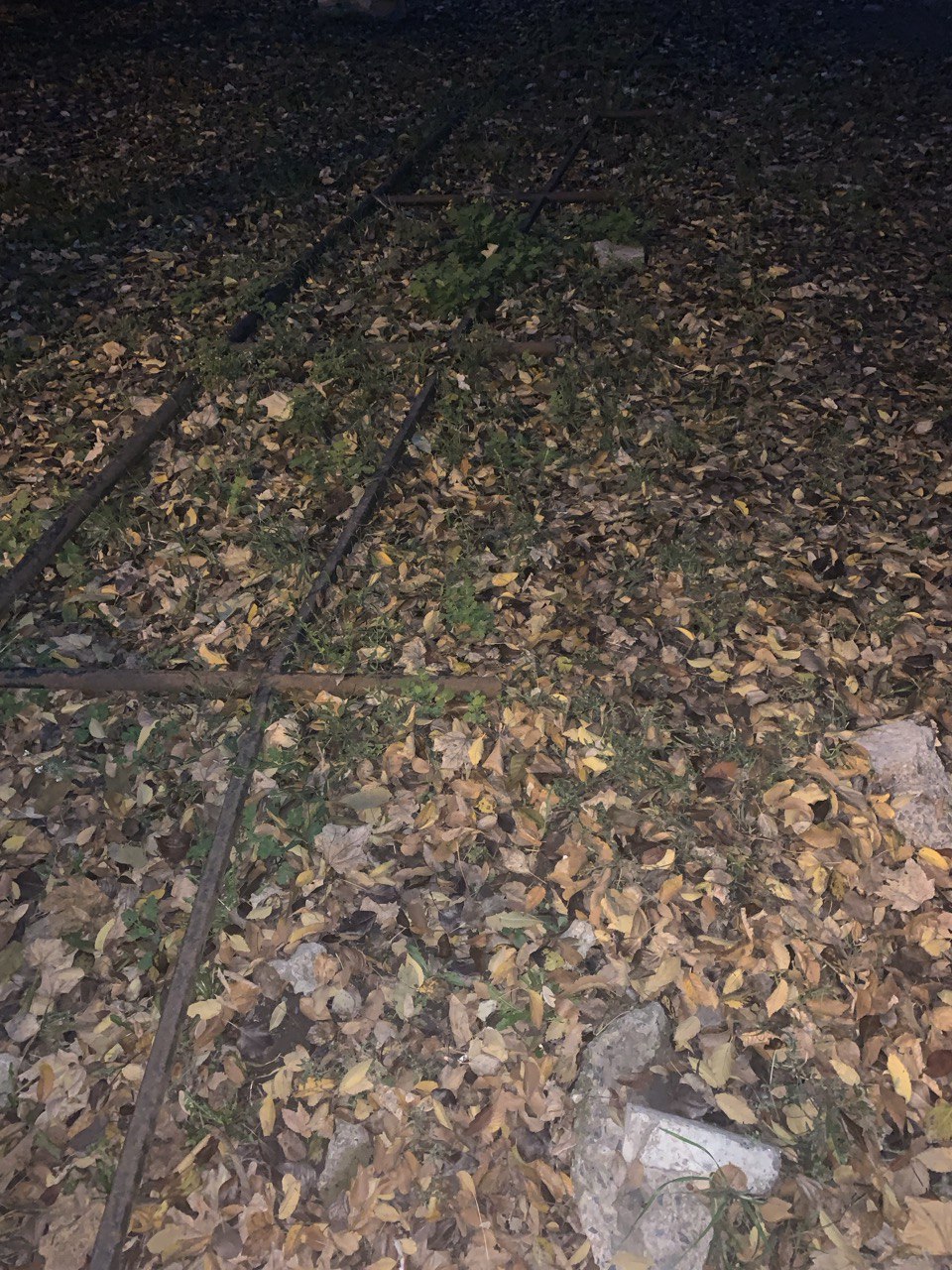 Дмитрий Плетень провел сход граждан Дмитрий Плетень провел сход граждан