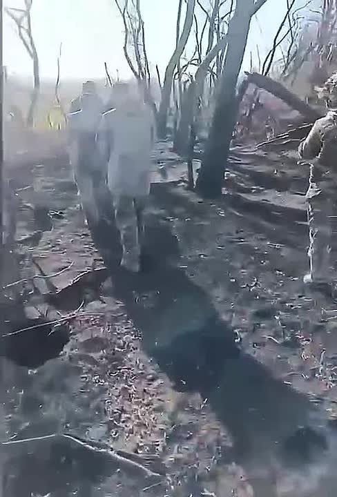 Армен Гаспарян: Покровск. Потянулись с фортеци в плен