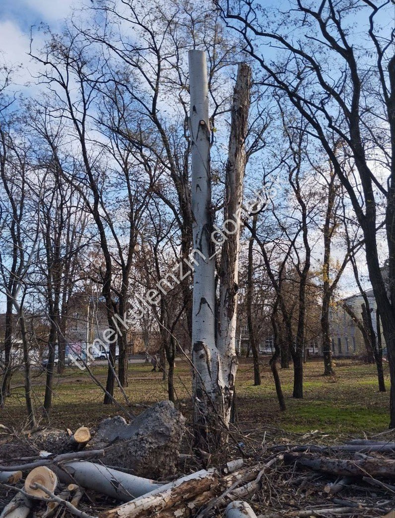 Благоустройство нашего города продолжается! Благоустройство нашего города продолжается!