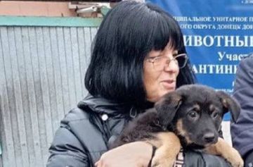В Донецке обеспечивают уход и лечение бездомным животным