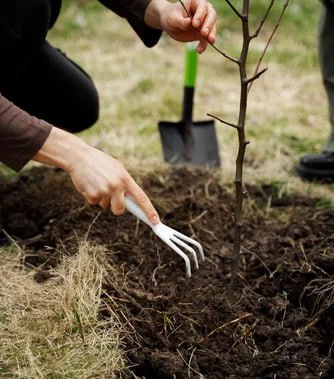 Для тех, у кого есть свой сад