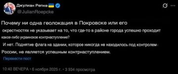 Немецкому журналисту-русофобу Рёпке не удалось найти следов украинского контрнаступления в районе Покровска: