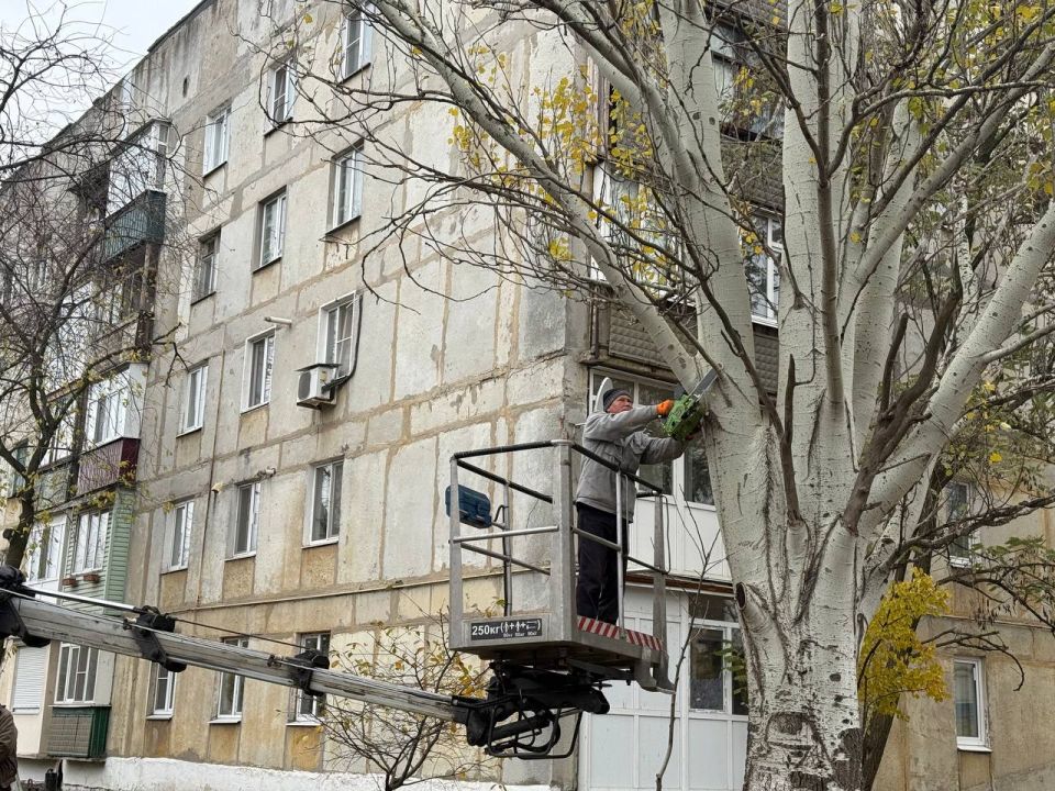 В Кировском выполнили санитарную обрезку деревьев В Кировском выполнили санитарную обрезку деревьев