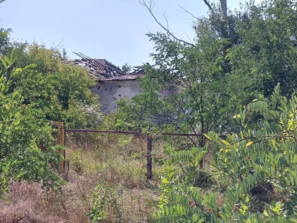 Люди приезжают в выходные: бывший глава сельсовета рассказал, как Широкино возвращается к жизни Люди приезжают в выходные: бывший глава сельсовета рассказал, как Широкино возвращается к жизни