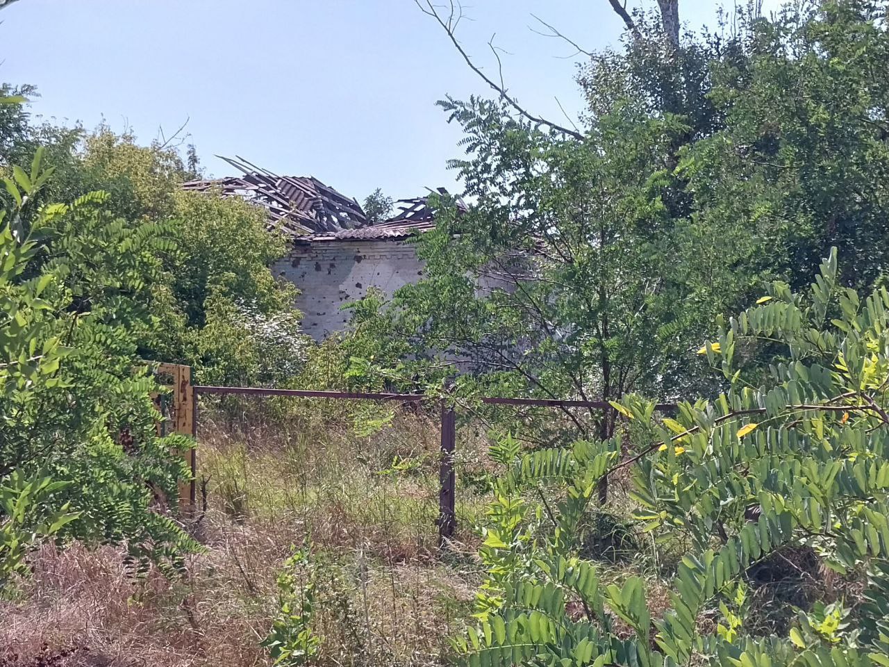 Люди приезжают в выходные: бывший глава сельсовета рассказал, как Широкино возвращается к жизни Люди приезжают в выходные: бывший глава сельсовета рассказал, как Широкино возвращается к жизни